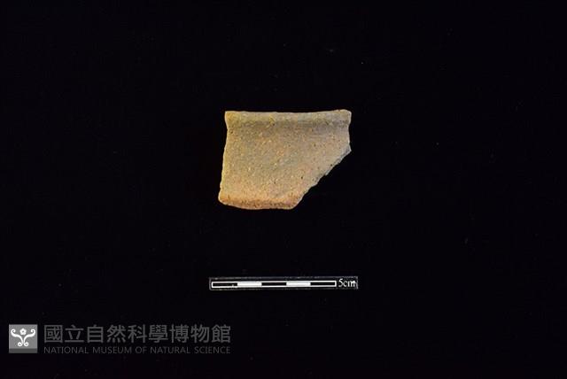 陶罐藏品圖，第1張