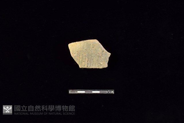 陶片藏品圖，第1張