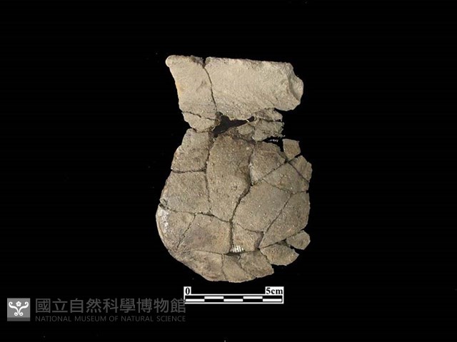 陶罐藏品圖，第1張