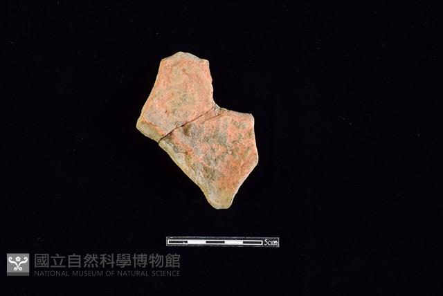 連杯形器藏品圖，第1張