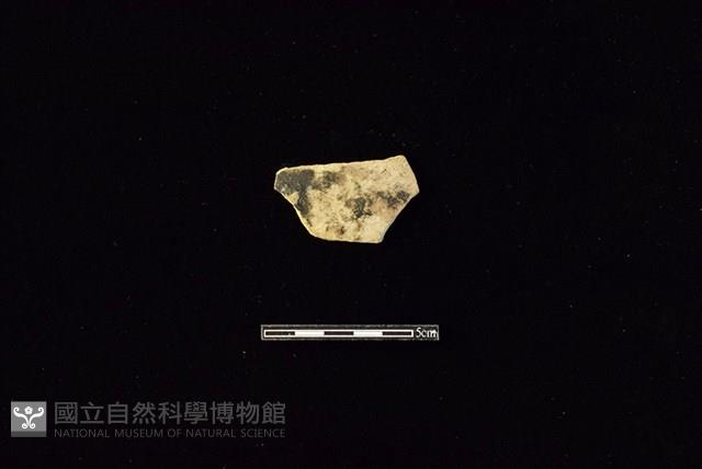 陶片藏品圖，第1張