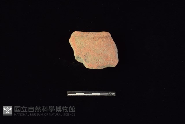 陶片藏品圖，第1張