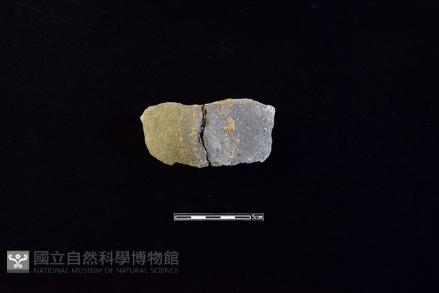 陶片藏品圖，第1張