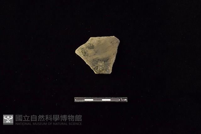 陶片藏品圖，第1張