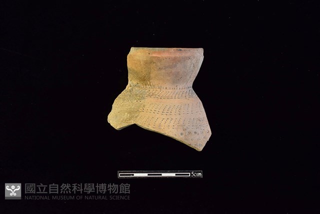 陶罐藏品圖，第1張