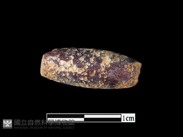 玻璃珠藏品圖，第1張