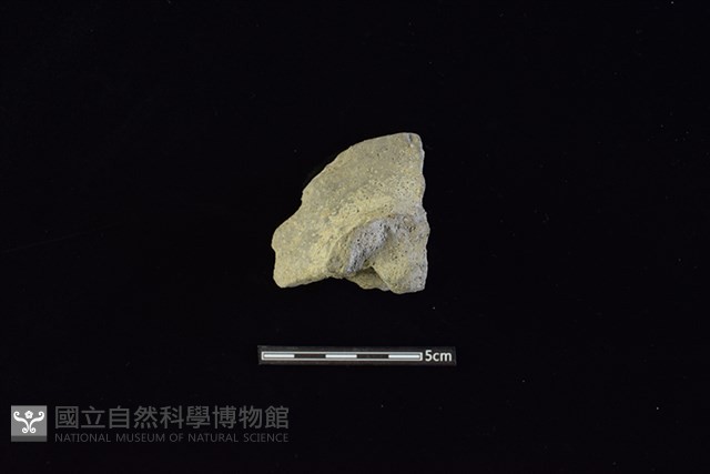 陶蓋鈕藏品圖，第1張