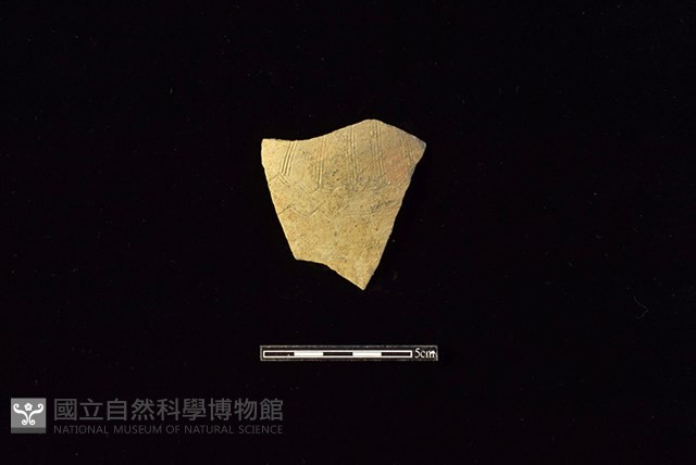 陶片藏品圖，第1張