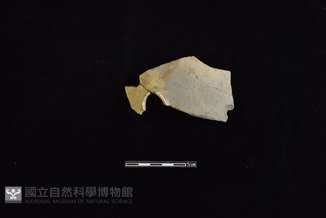 陶甑藏品圖，第1張