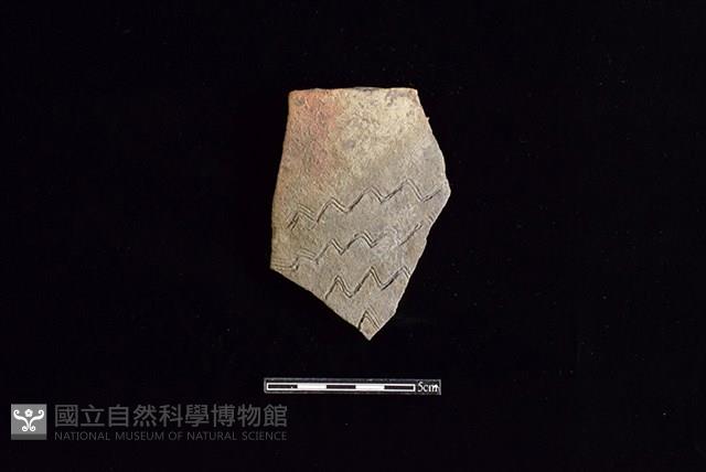 陶片藏品圖，第1張