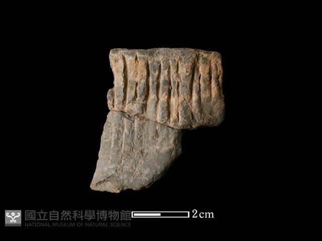 陶罐藏品圖，第1張