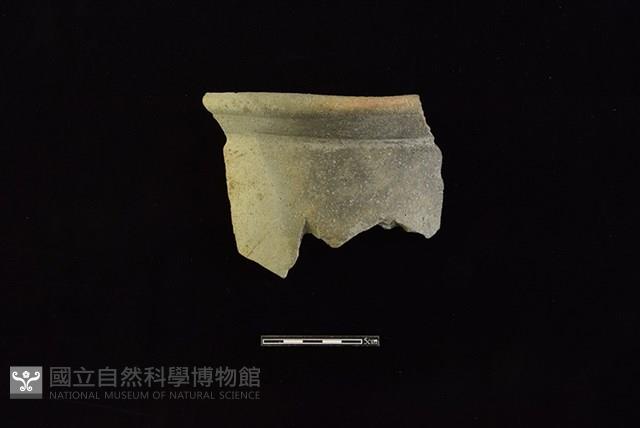 Accession Number:HLL-J PT1820 Collection Image, Figure 1, Total 2 Figures