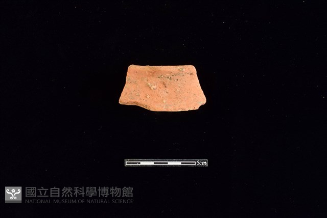 陶片藏品圖，第1張