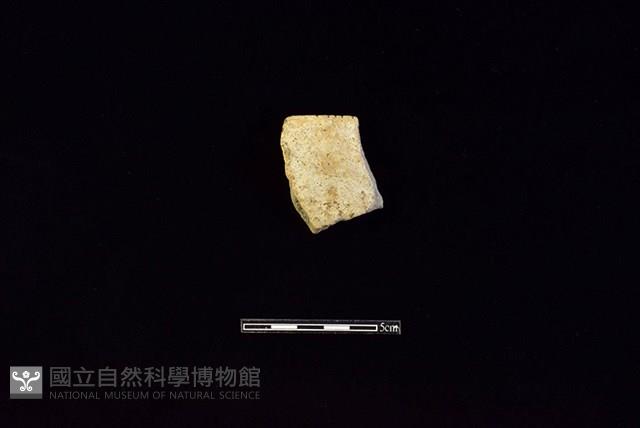 陶片藏品圖，第1張