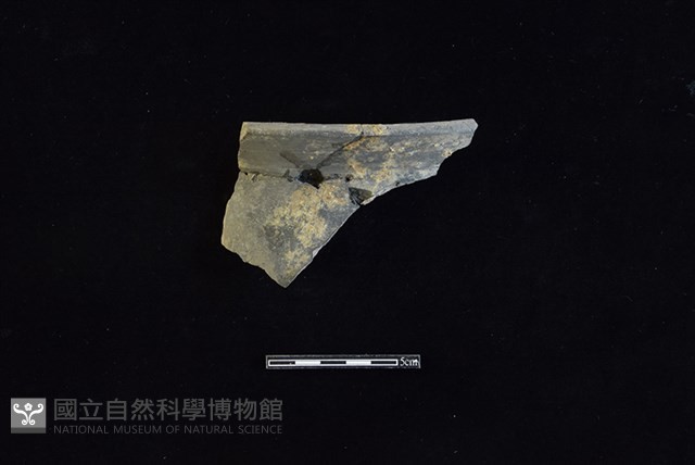 陶罐藏品圖，第1張