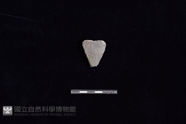 陶片藏品圖，第1張