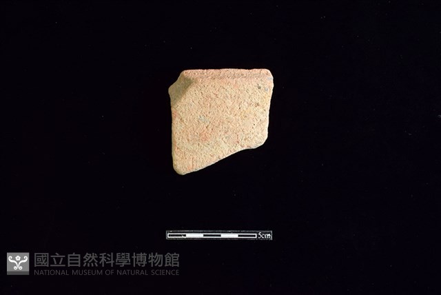 陶片藏品圖，第1張