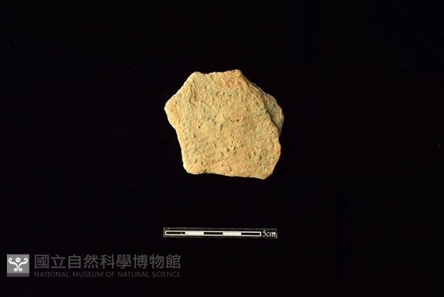 陶片藏品圖，第1張