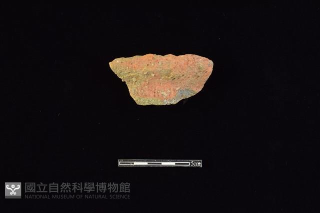 陶罐藏品圖，第1張