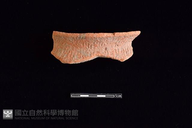 陶罐藏品圖，第1張