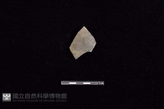 陶片藏品圖，第1張