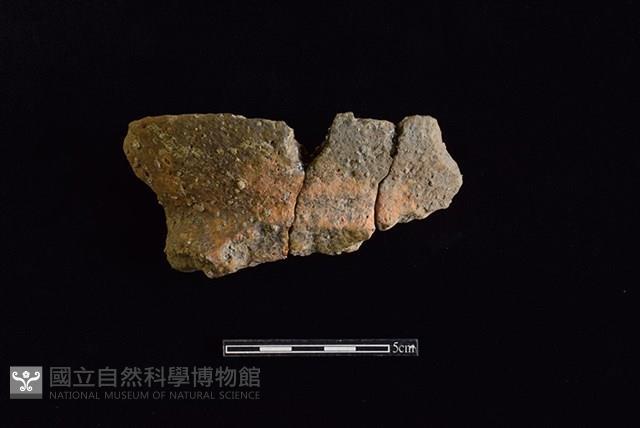 陶罐藏品圖，第1張