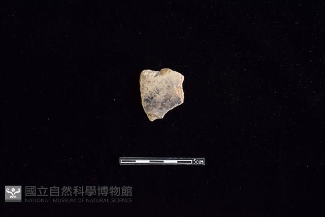 陶片藏品圖，第1張