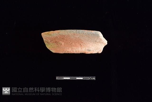 陶罐藏品圖，第1張