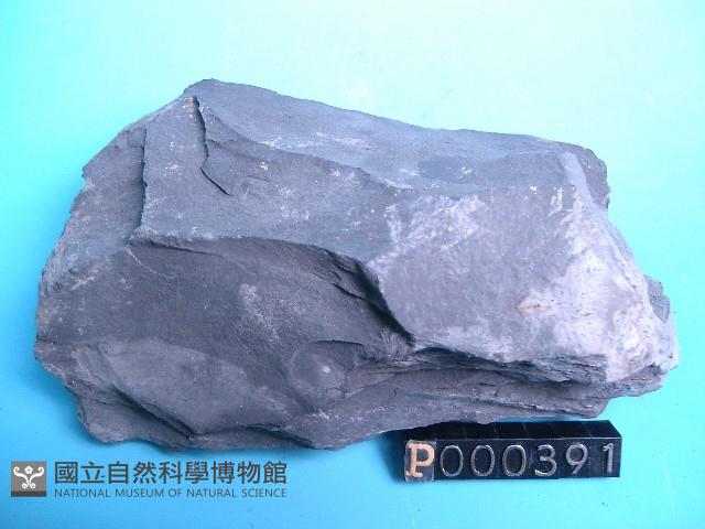 頁岩藏品圖，第5張
