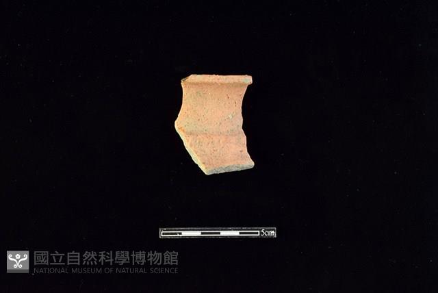 陶罐藏品圖，第1張