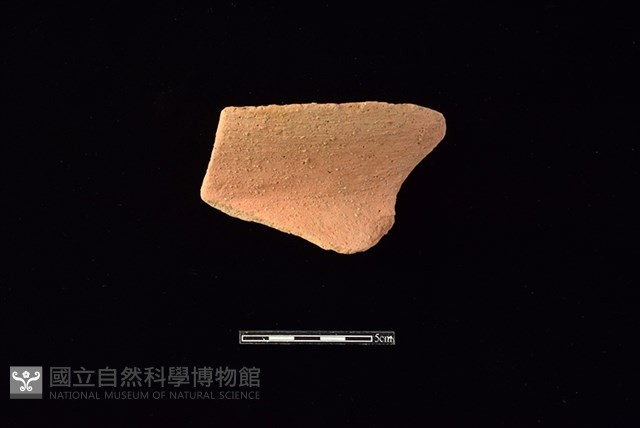 陶罐藏品圖，第1張