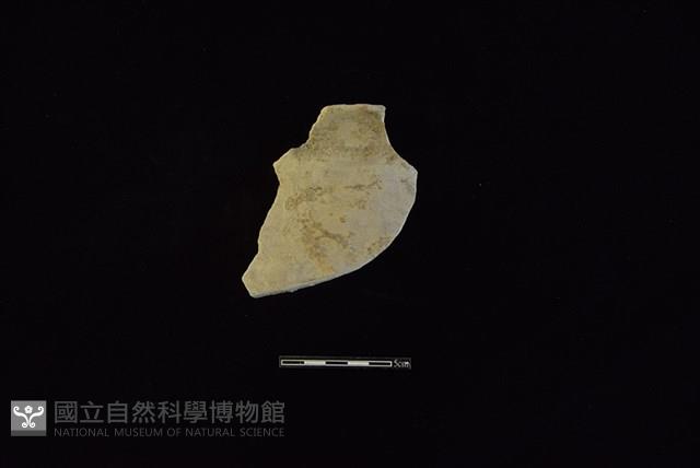 陶罐藏品圖，第1張