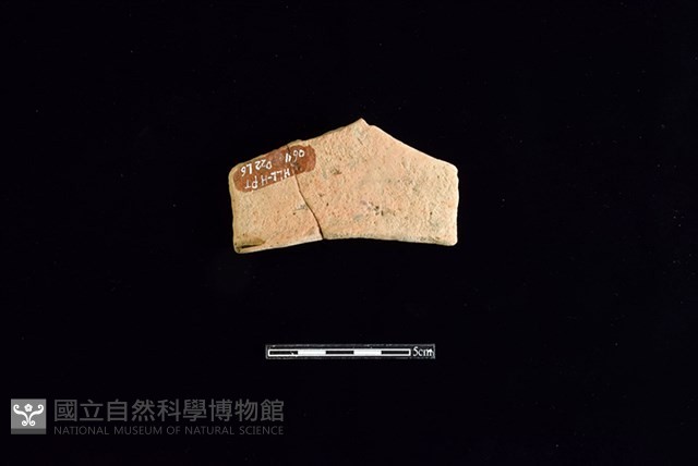 連杯形器藏品圖，第1張