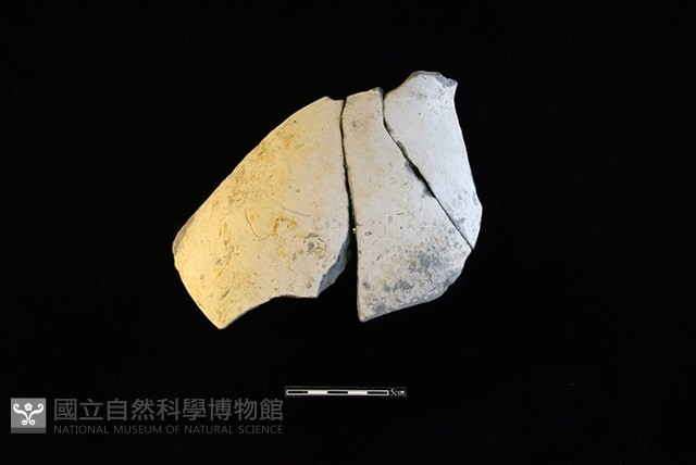 陶罐藏品圖，第1張
