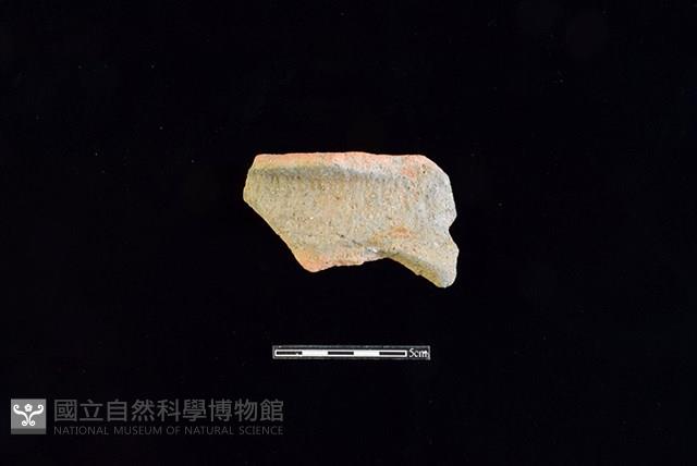 陶罐藏品圖，第1張