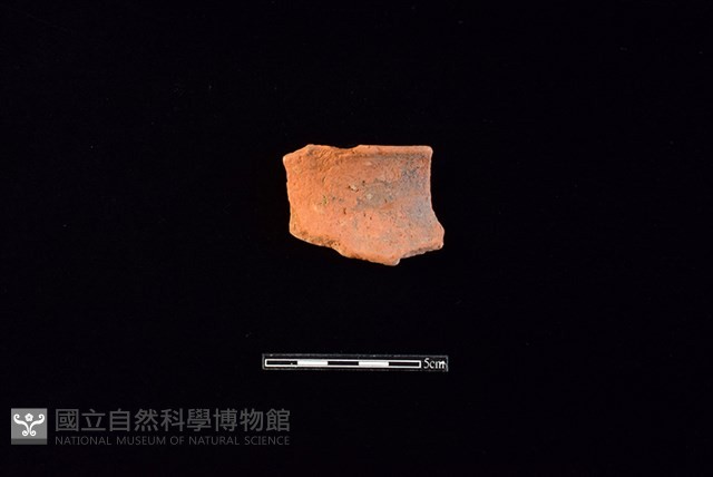 陶片藏品圖，第1張