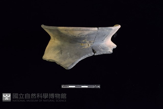 陶罐藏品圖，第1張