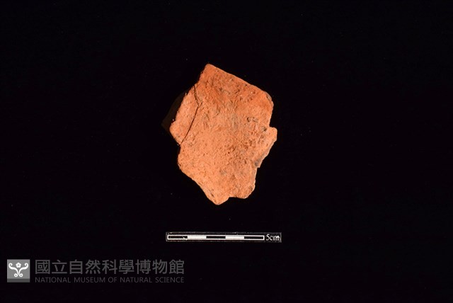 連杯形器藏品圖，第1張