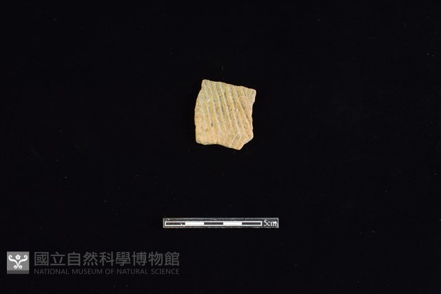 陶片藏品圖，第1張