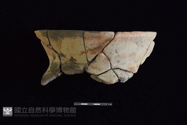 陶罐藏品圖，第1張