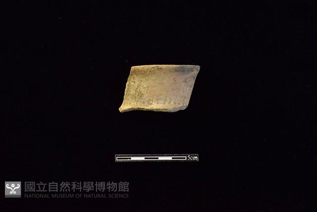 陶罐藏品圖，第1張