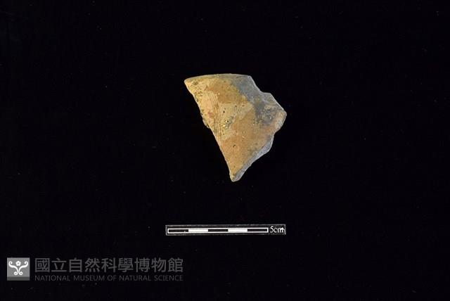 陶罐藏品圖，第1張