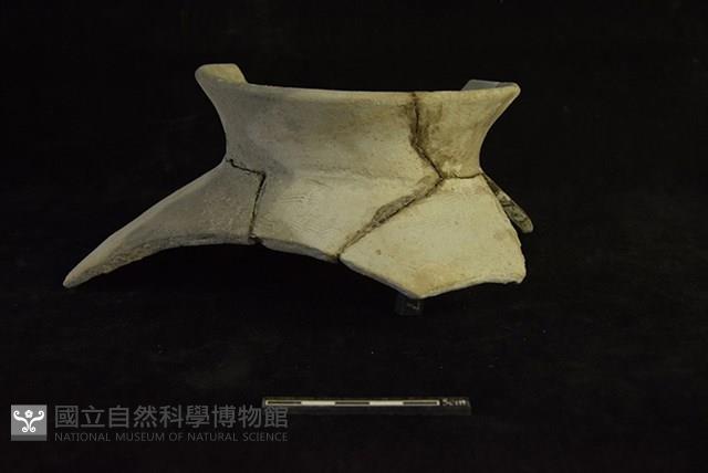 陶罐藏品圖，第1張