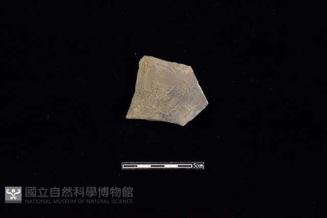 陶片藏品圖，第1張