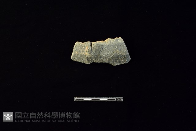 陶片藏品圖，第1張