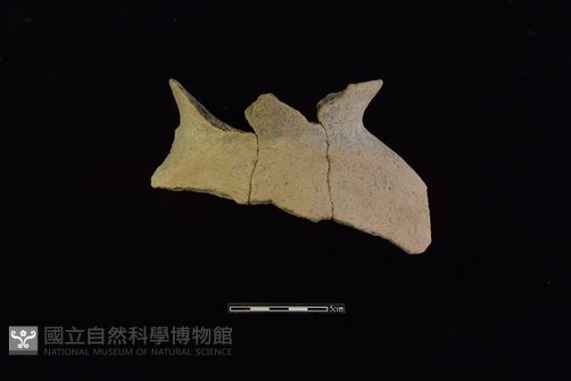 陶罐藏品圖，第1張