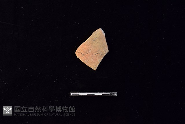 陶片藏品圖，第1張