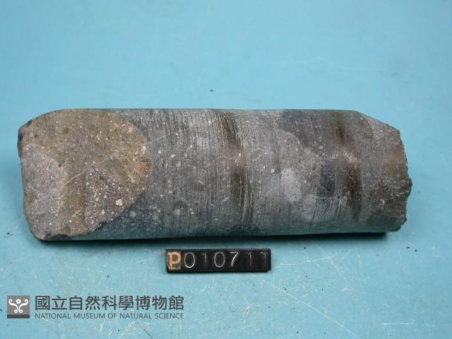 火山碎屑岩藏品圖，第3張