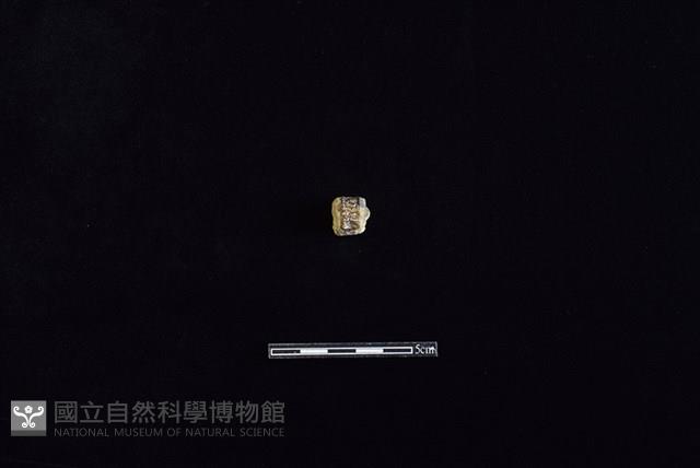 陶把藏品圖，第1張