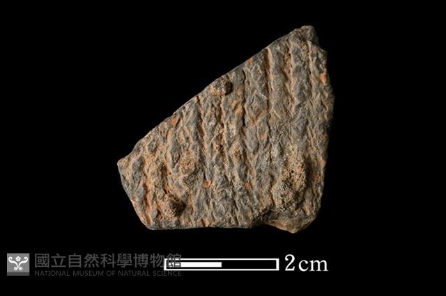 陶片藏品圖，第1張